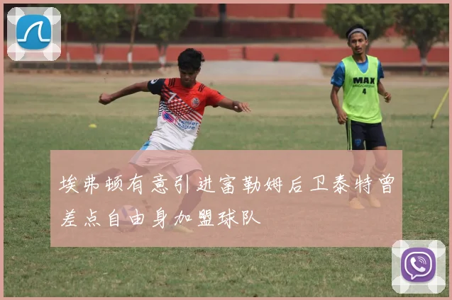 埃弗顿有意引进富勒姆后卫泰特曾差点自由身加盟球队
